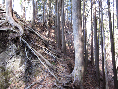 20200110hike (110)